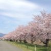 obuse-cycling-road-spring