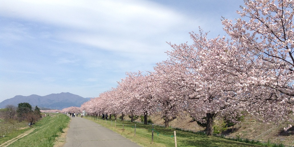 obuse-cycling-road-spring