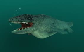 モササウルス(Mosasaurus) | 恐竜図鑑