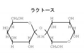 二糖類（マルトース、スクロース、ラクトース）の構造と性質